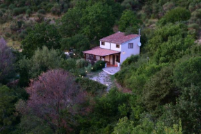 Chalet di montagna